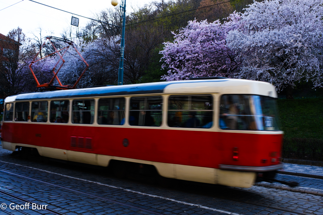 Prague Tram